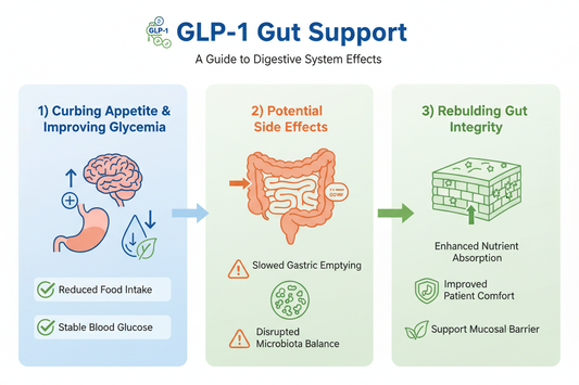 GLP-1 Gut Support Chart: GLP-1 agonists curb appetite and improve glycemia but often slow motility and disrupt microbiota balance. Rebuilding gut integrity preserves nutrient absorption and patient comfort. 