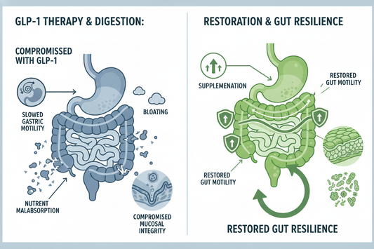 GLP-1 slows digestion: Prolonged GLP-1 therapy can slow gastric motility and erode mucosal integrity, leading to bloating and nutrient malabsorption. Restoring gut resilience is critical for maintaining tolerability and long-term metabolic benefit. Supplementation is key for aiding digestion chart.